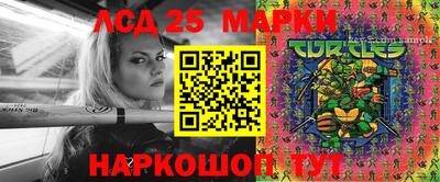 гидропоника Новозыбков