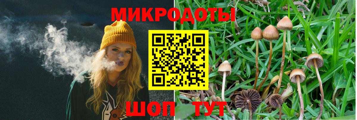 Оренбург  Галлюциногенные грибы Magic Shrooms  Вход с VPN 