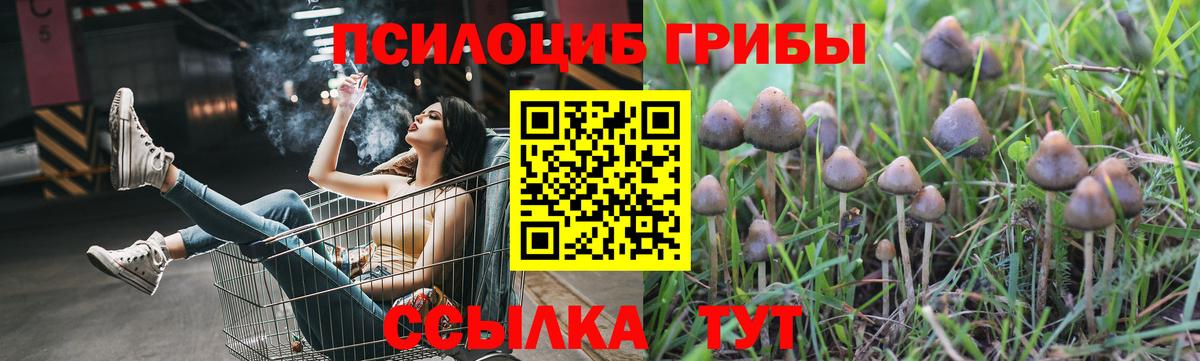 Галлюциногенные грибы GOLDEN TEACHER Оренбург